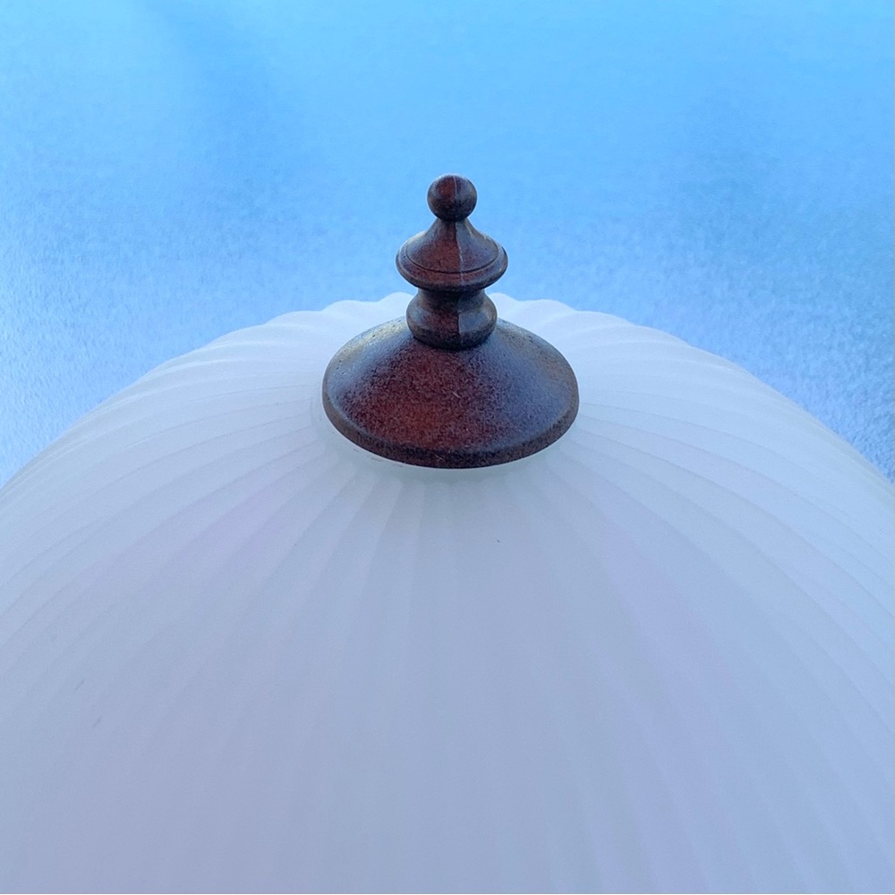 Bronze Colored and Frost White 2-Light Flush Mount Ceiling Light Fixture - Picture 2 of 6